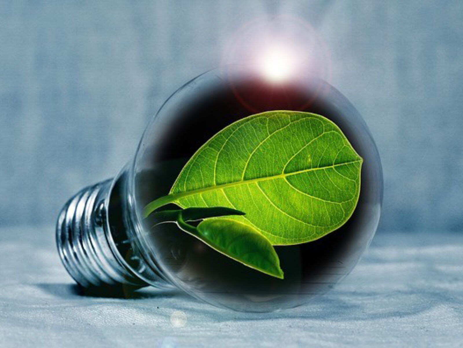 Measures to improve energy efficiency in the company (1021) | Main