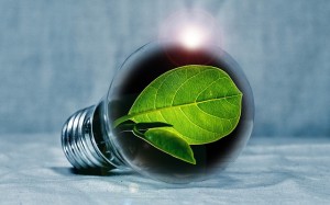 MTF Technik - Maßnahmen zur verbesserten Energieeffizienz im Unternehmen